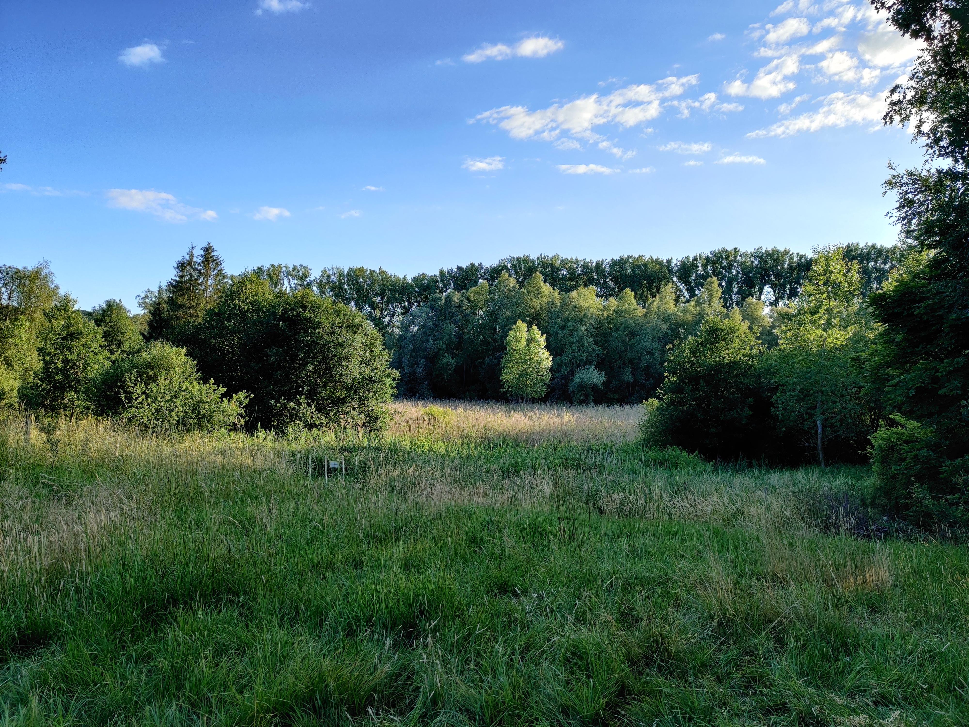 Uitzicht